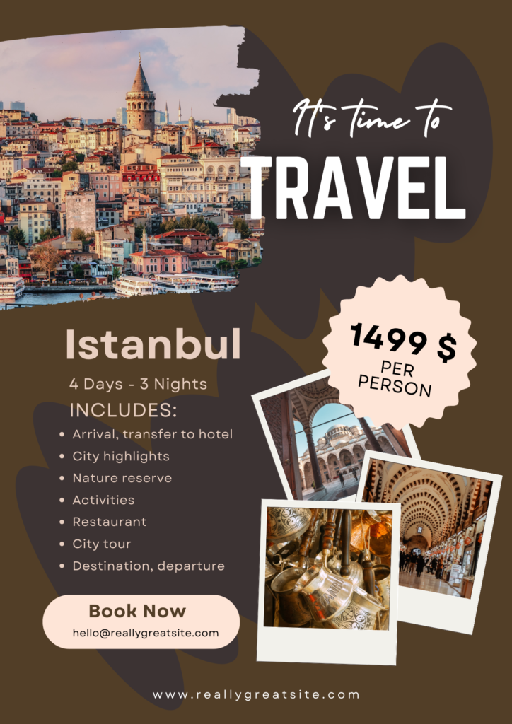 Brown Beige Modern Turkey Travel Flyer